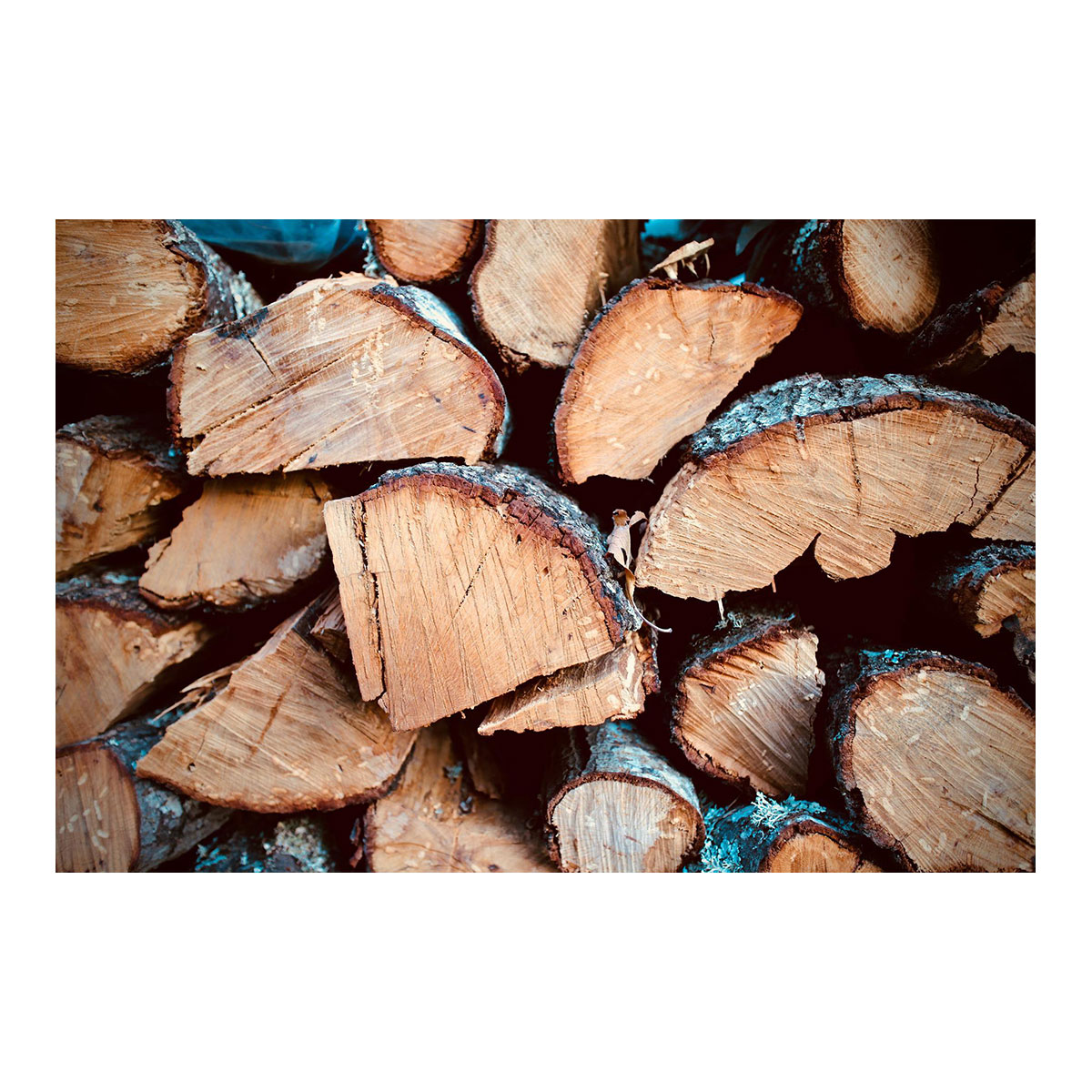 Brennholz 2x 12,5kg, Weichholz, ca. 25cm Länge